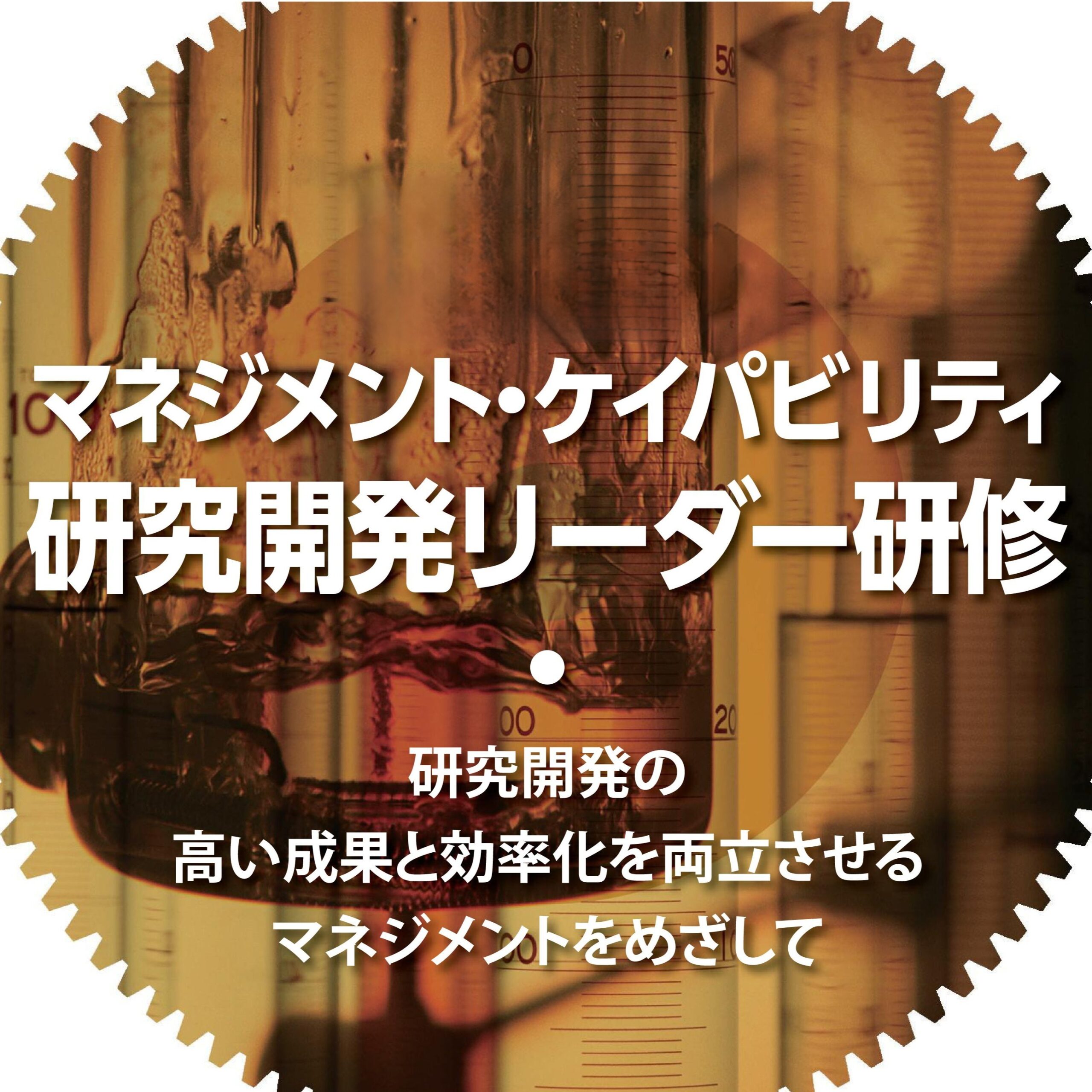 研マネ画像